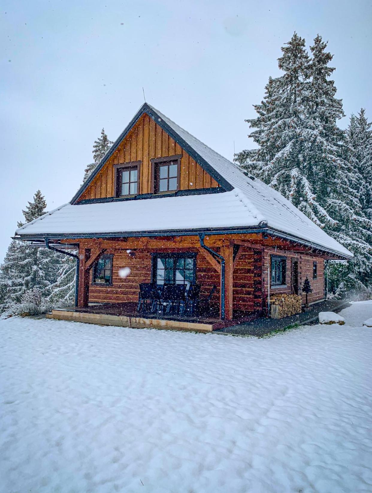 Villa Drevenica Lesanka Demänovská Dolina Exterior foto